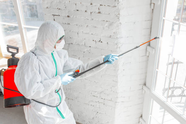 Best Industrial Mold Remediation  in Norton, KS